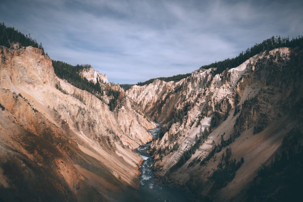 a rocky cliff side