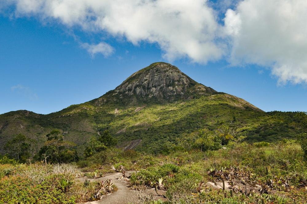 a mountain with a dirt road