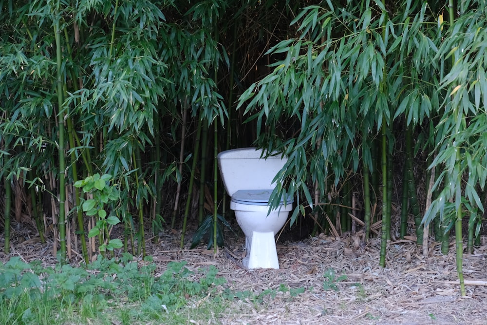 a toilet in a garden