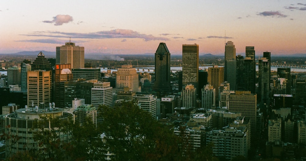 a city with many tall buildings