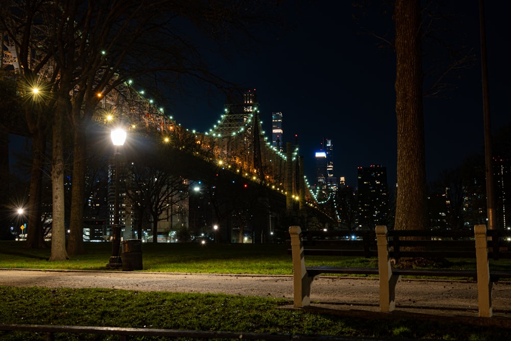 a park with trees and lights at night