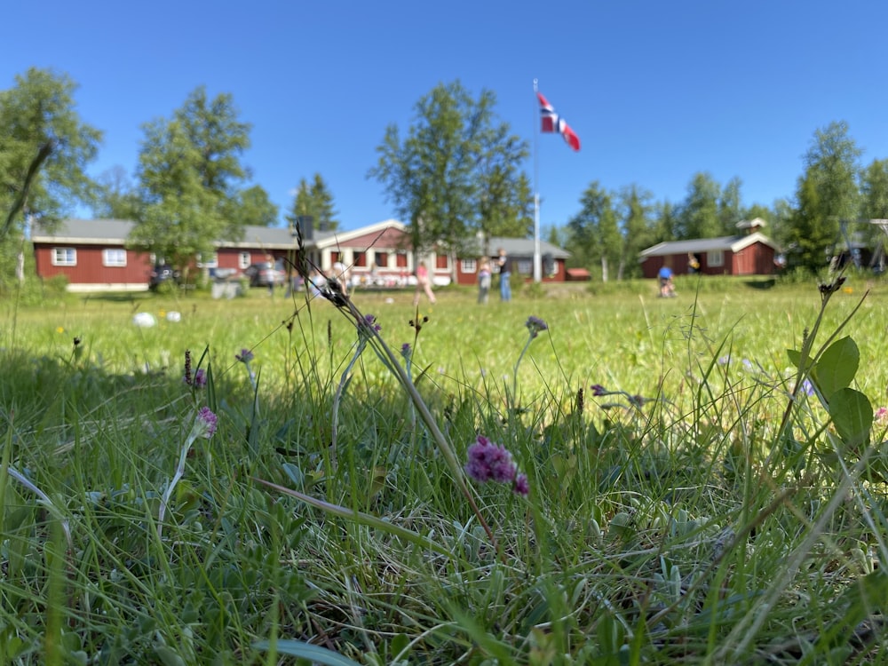 a grassy field with a flag flying in the sky