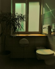 a bathroom with a plant in the window