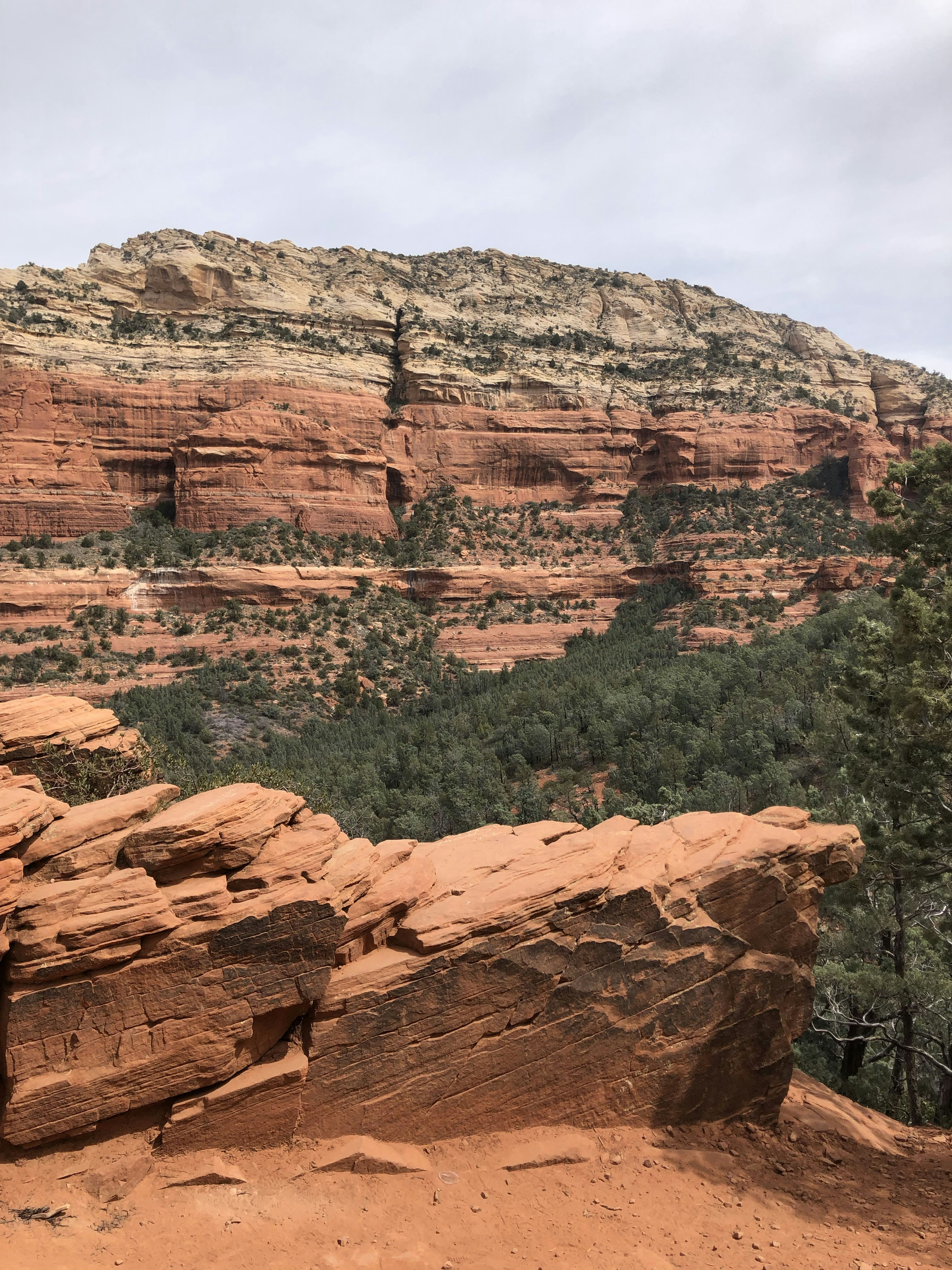 Photo by matthewrorvick