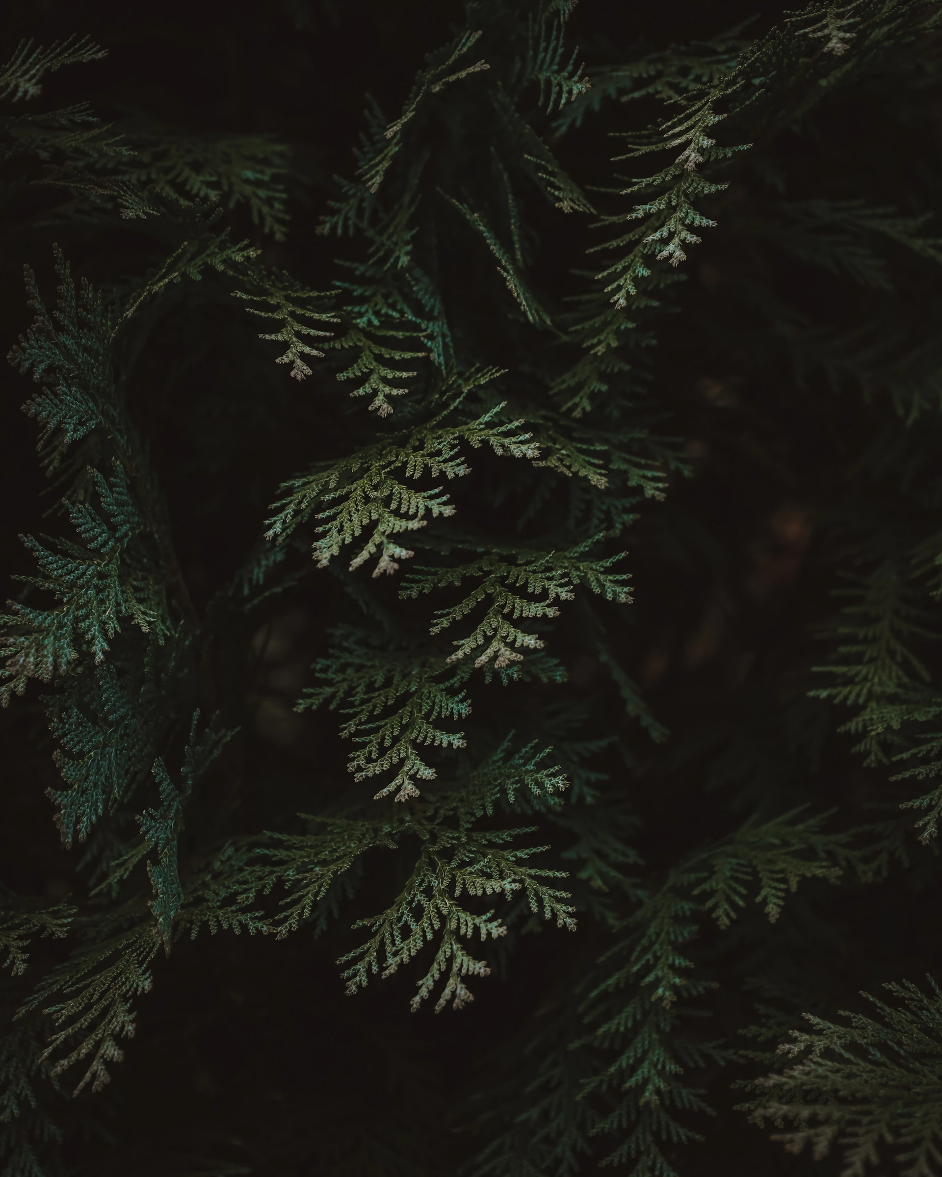 background pattern