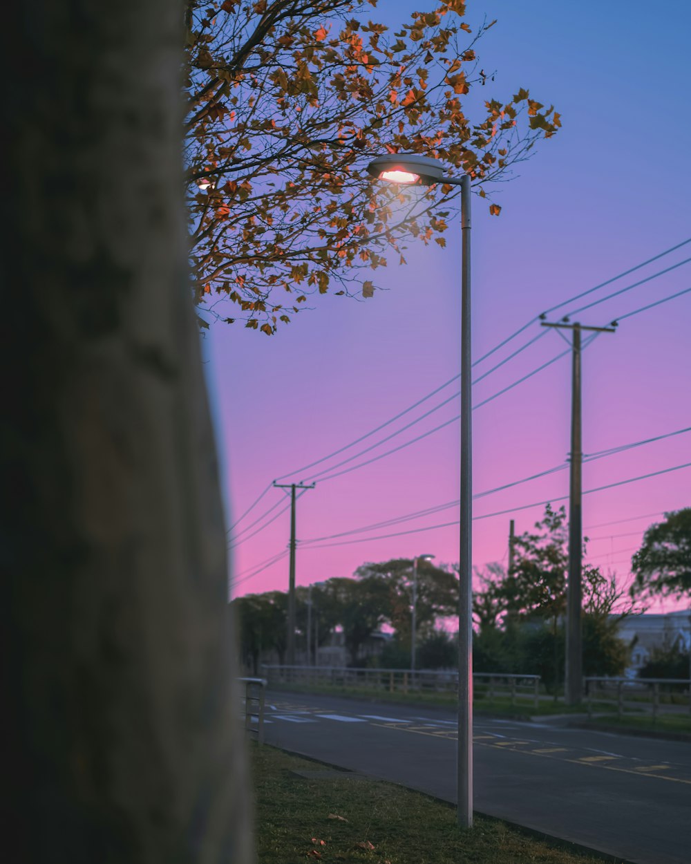 a street light on a street