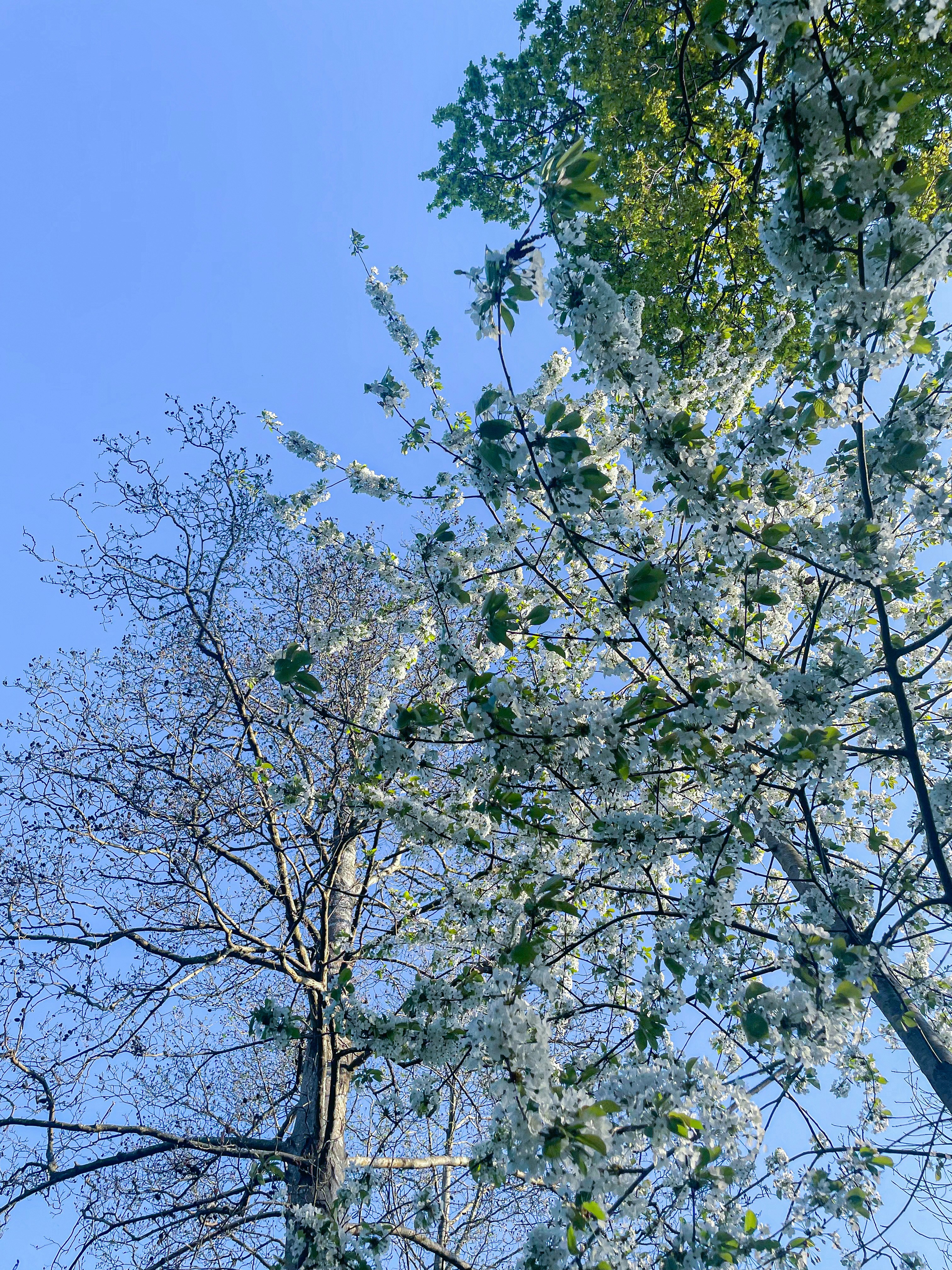 Photo by abbeyphotography