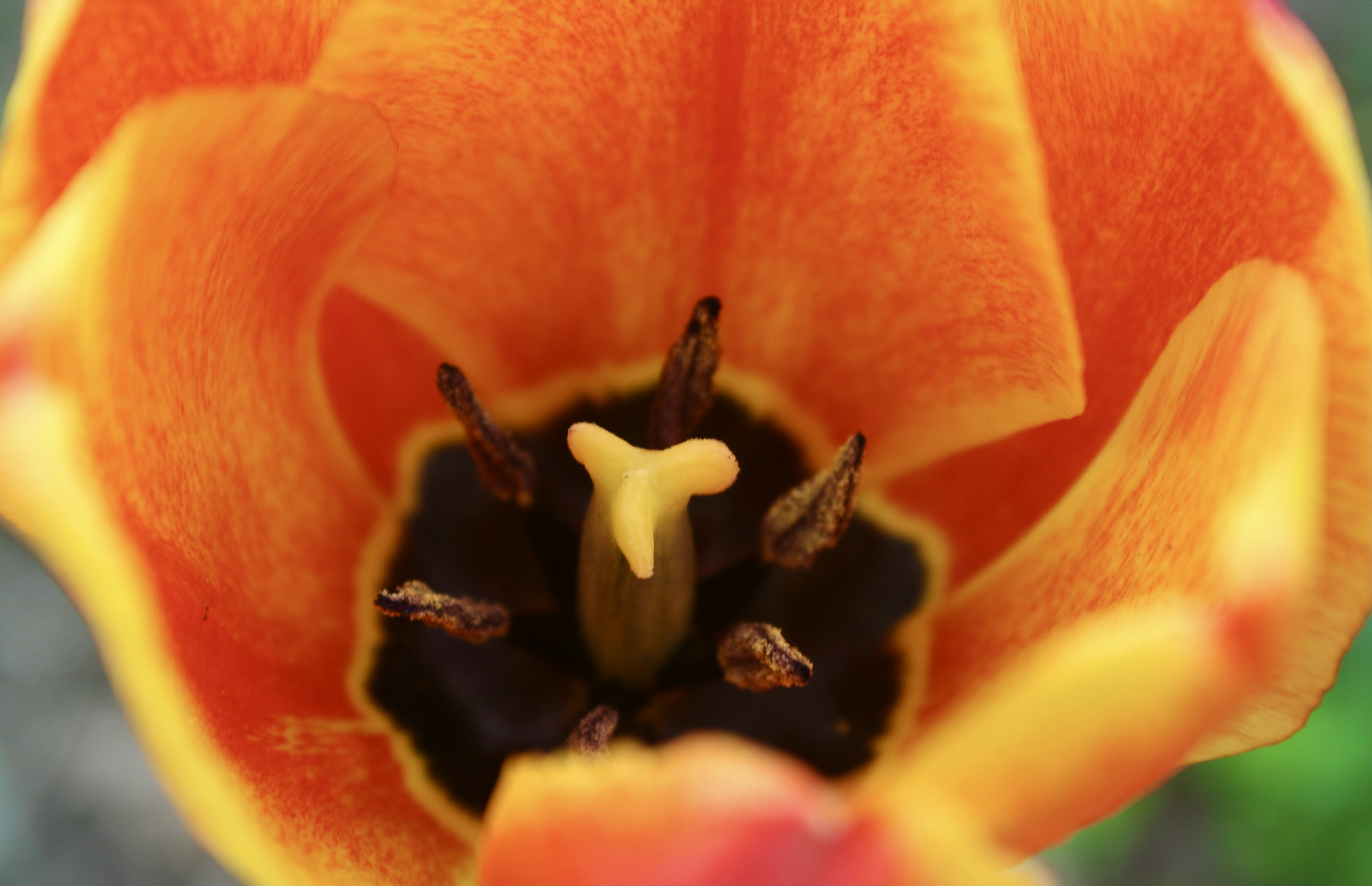 Photo by 1photos_by_e1