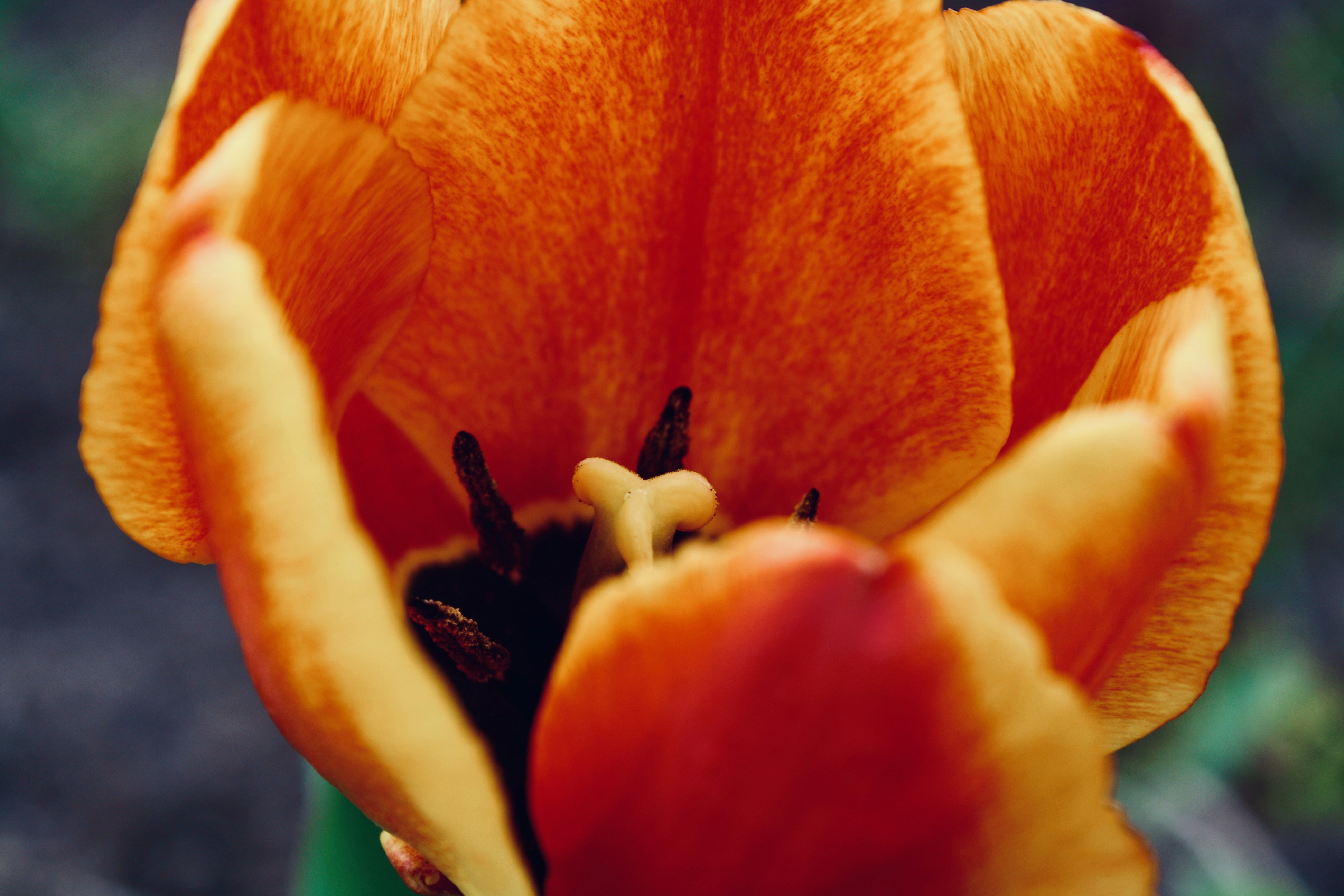 Photo by 1photos_by_e1