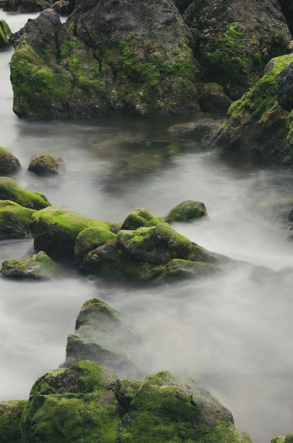 a river with rocks and moss