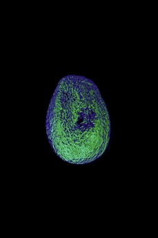 a blue and green circle