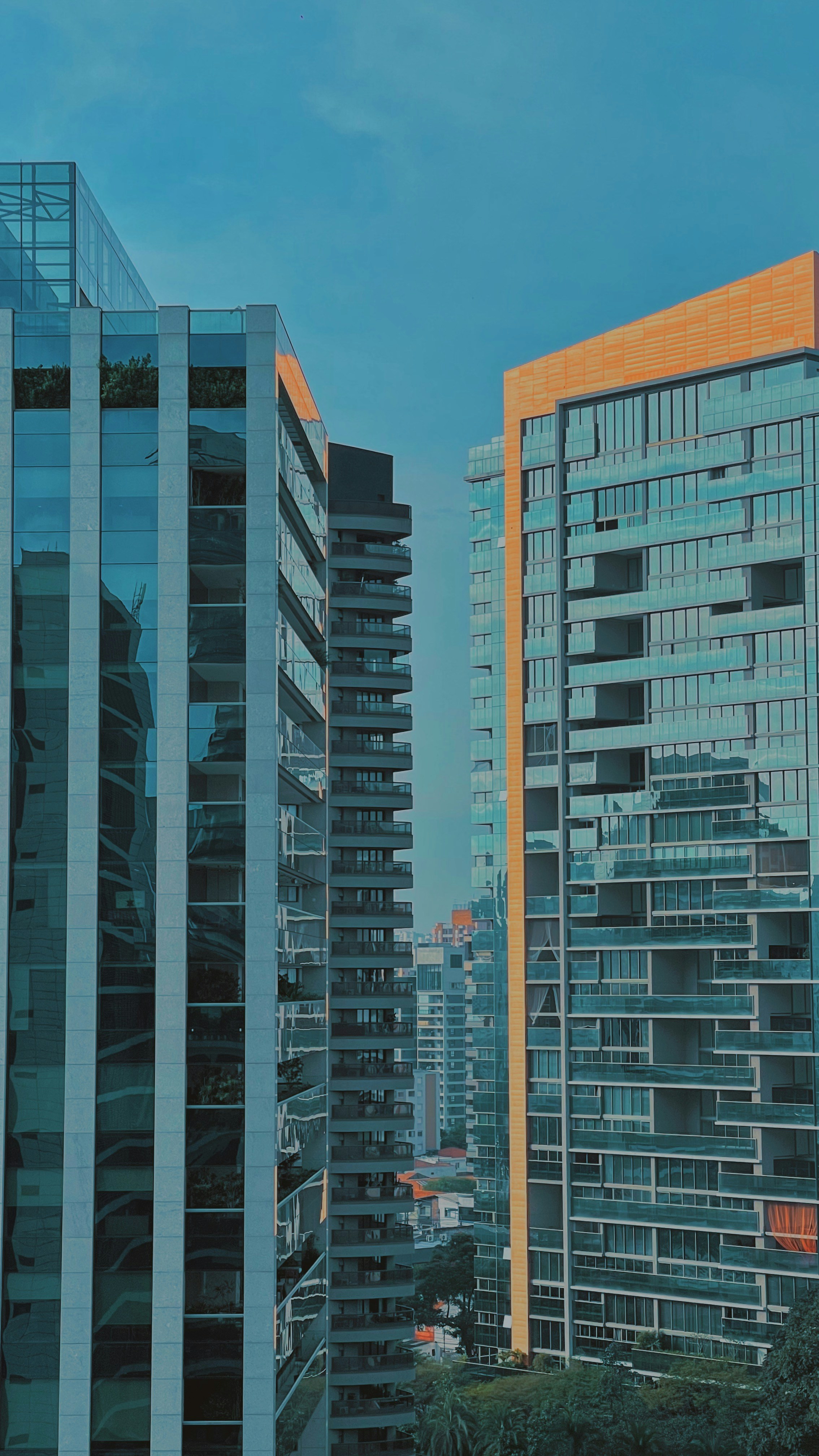 Photo by alexsanderbarhon