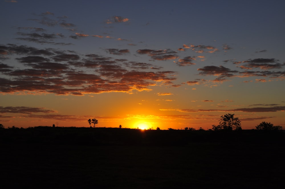 Un tramonto con alberi e una silhouette di una persona su un cavallo