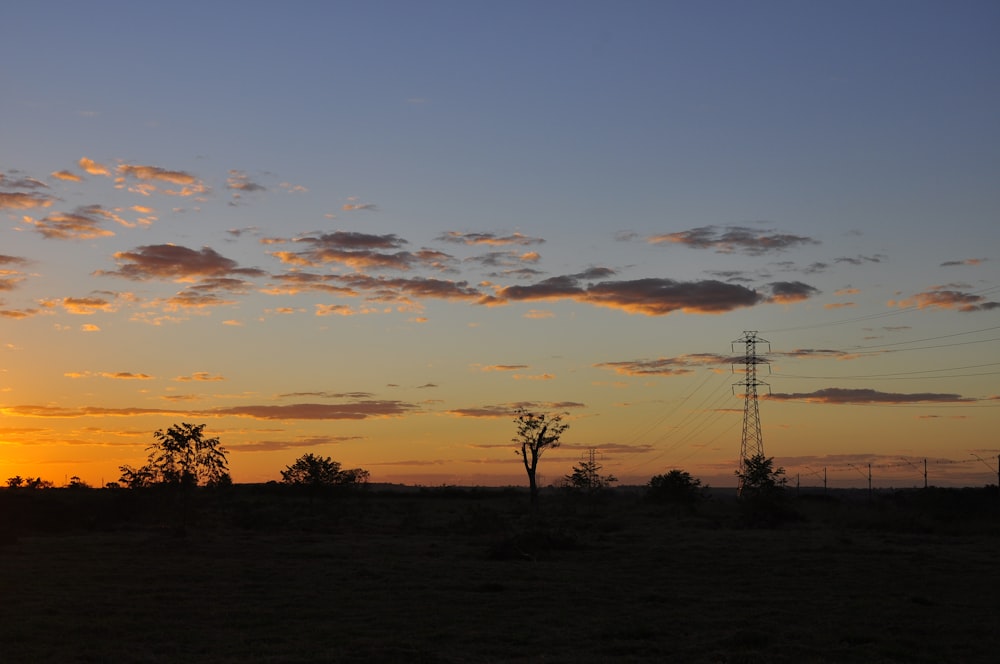 un coucher de soleil avec des arbres et une ligne électrique