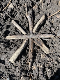 Several sticks arranged in a star pattern on a dark, earthy ground. The sticks are of varying lengths and appear to be weathered and natural.