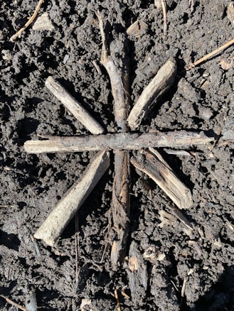 Several sticks arranged in a star pattern on a dark, earthy ground. The sticks are of varying lengths and appear to be weathered and natural.