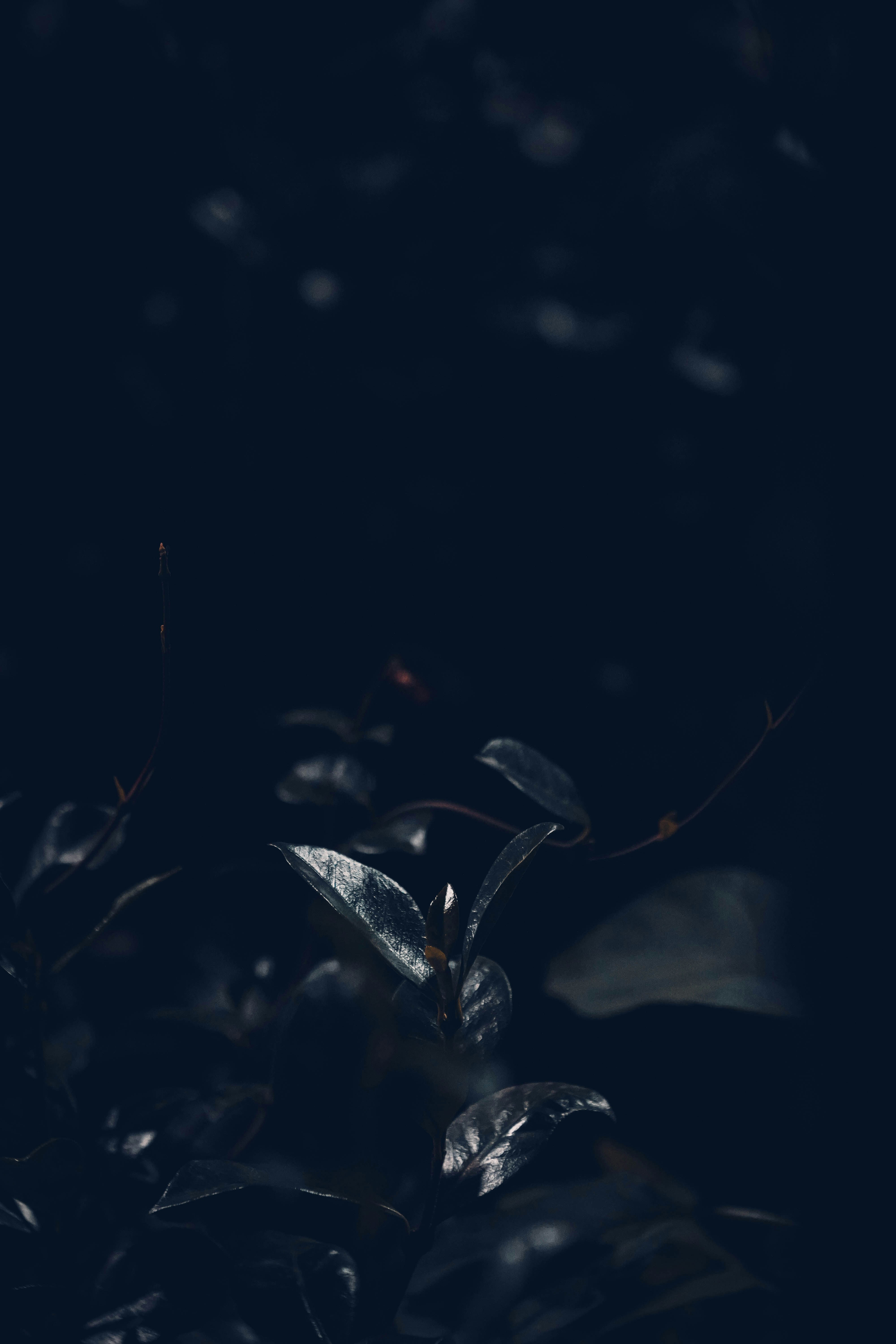 Photo by thedrinkbreak