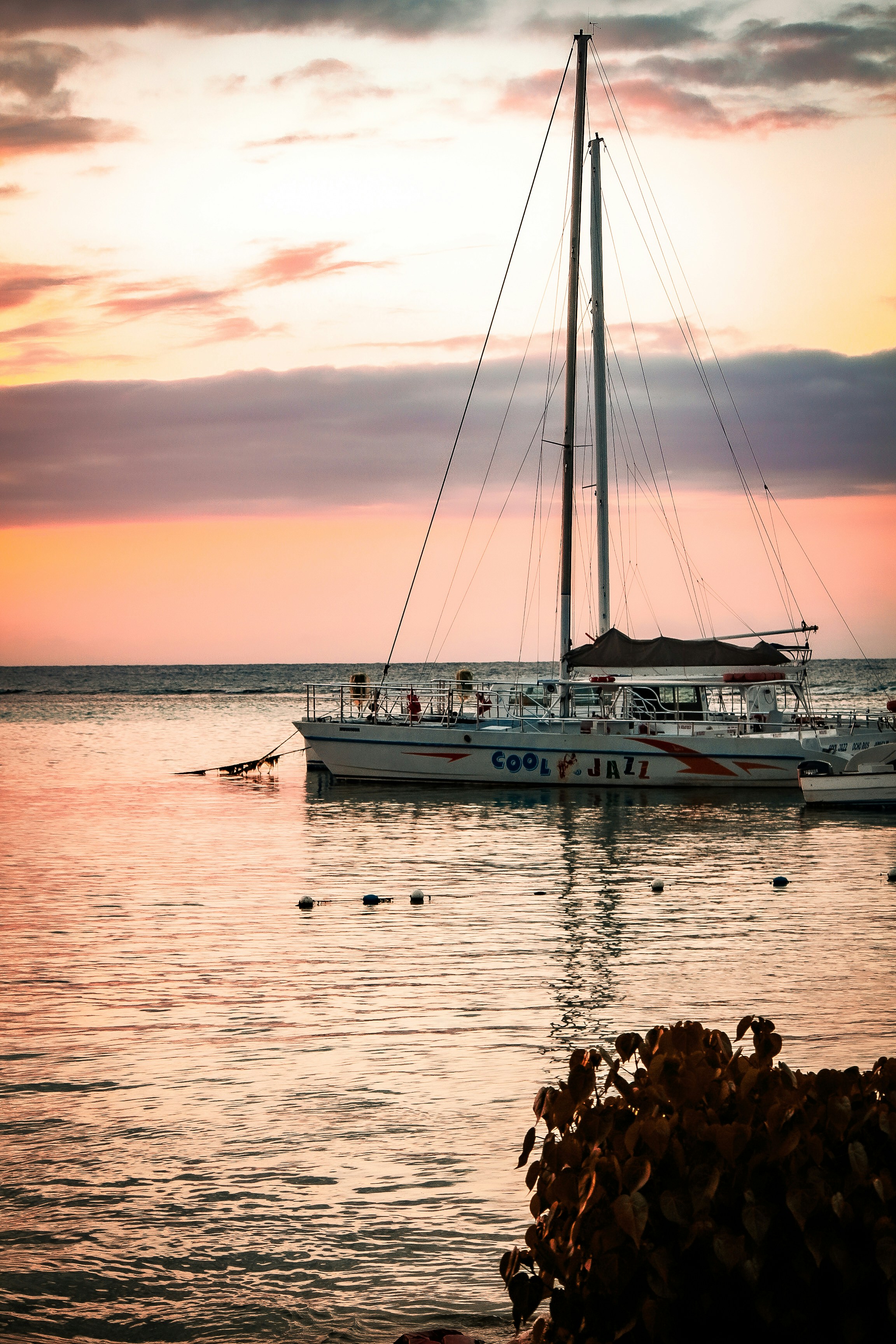 Photo by shanecurative_