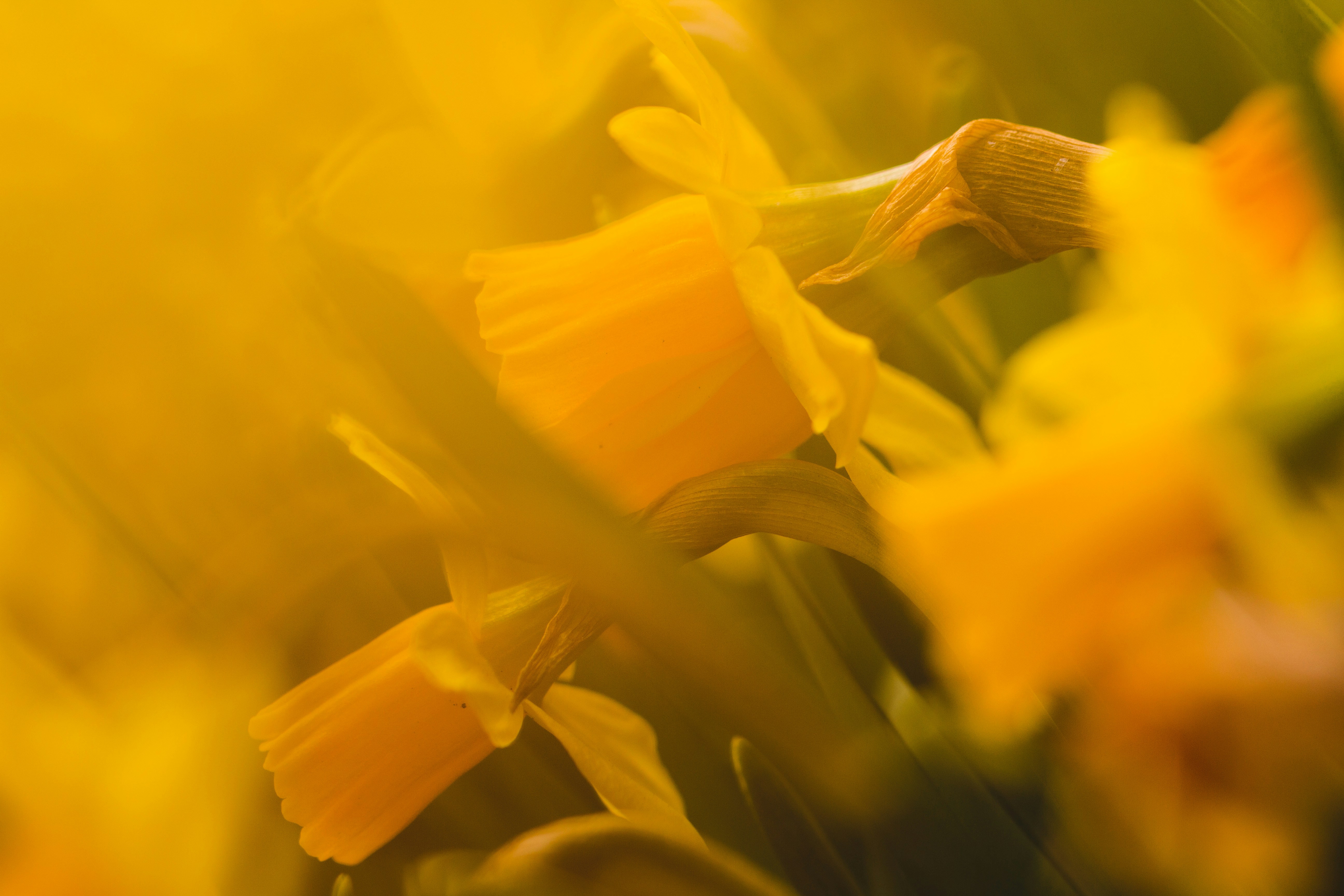 Photo by emmanuelphaeton