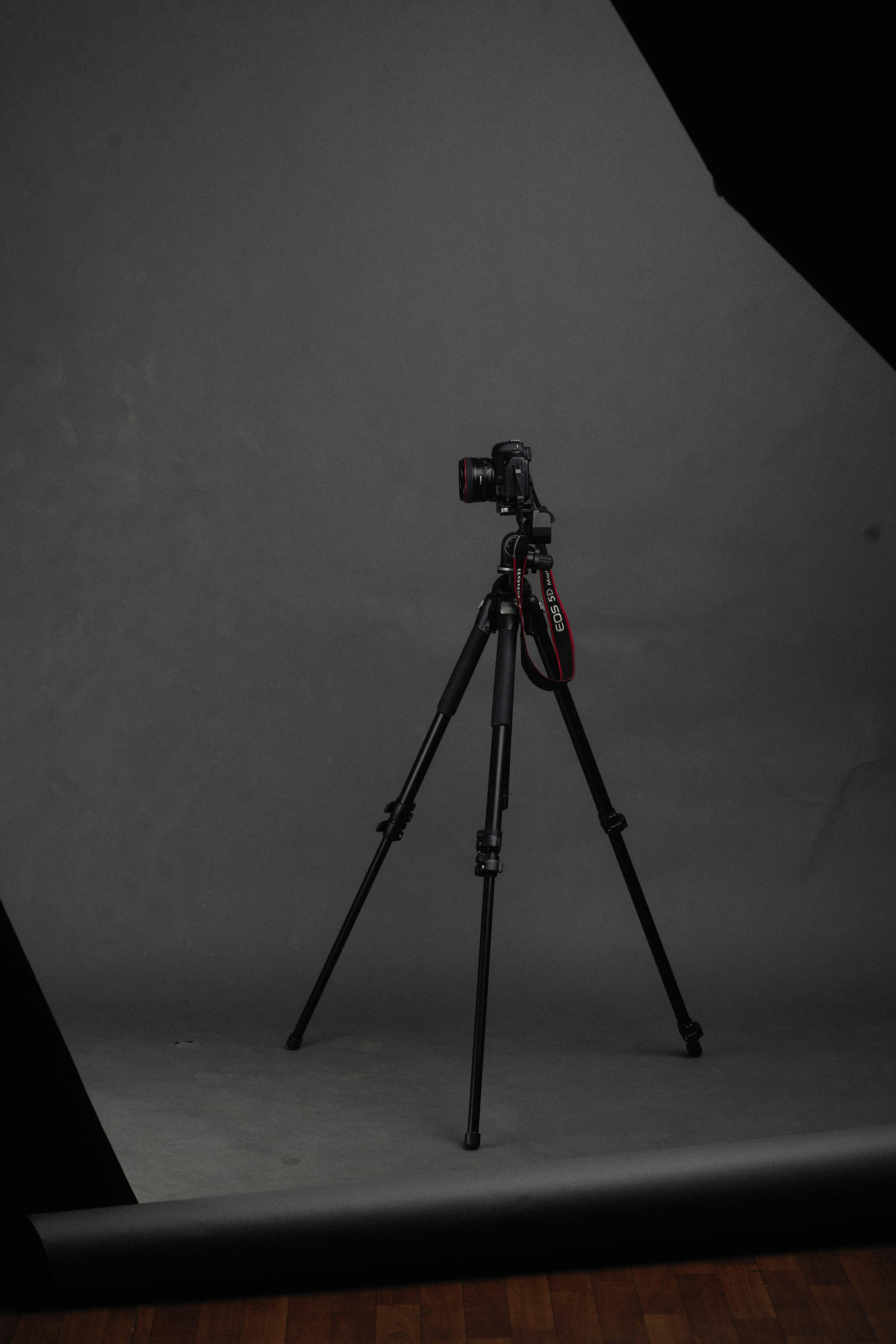 Photo by alexeydemidov