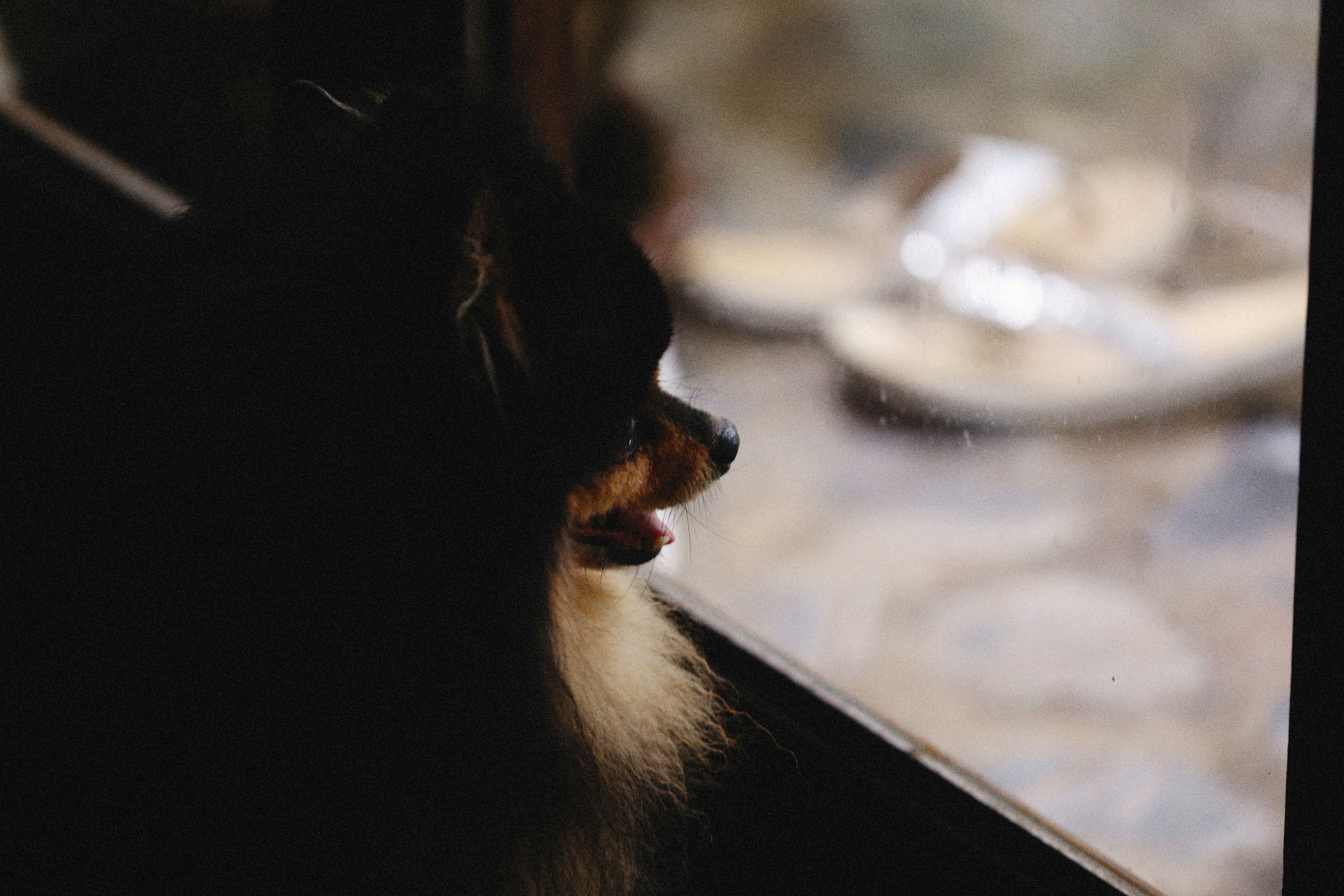 Photo by alexeydemidov