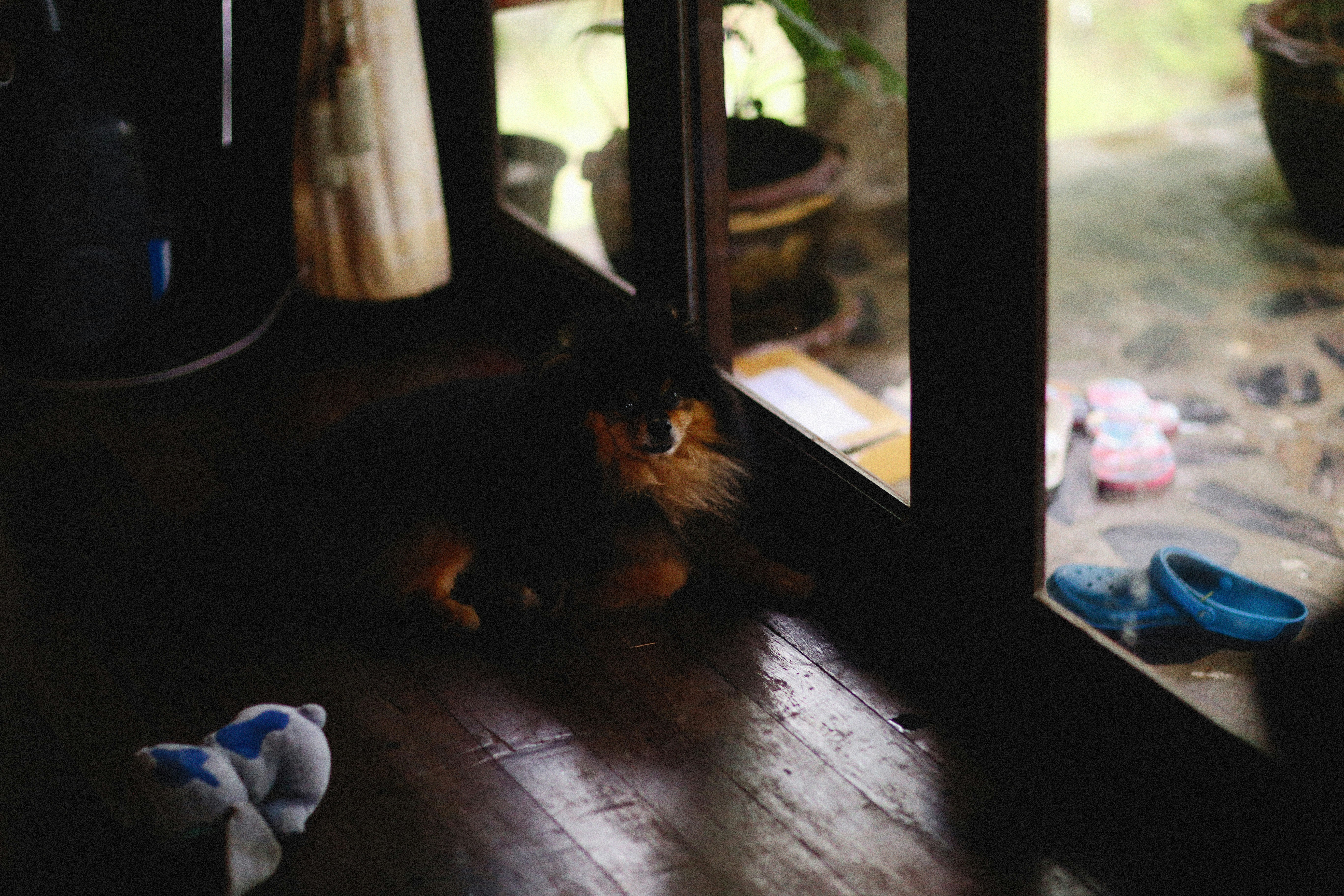 Photo by alexeydemidov