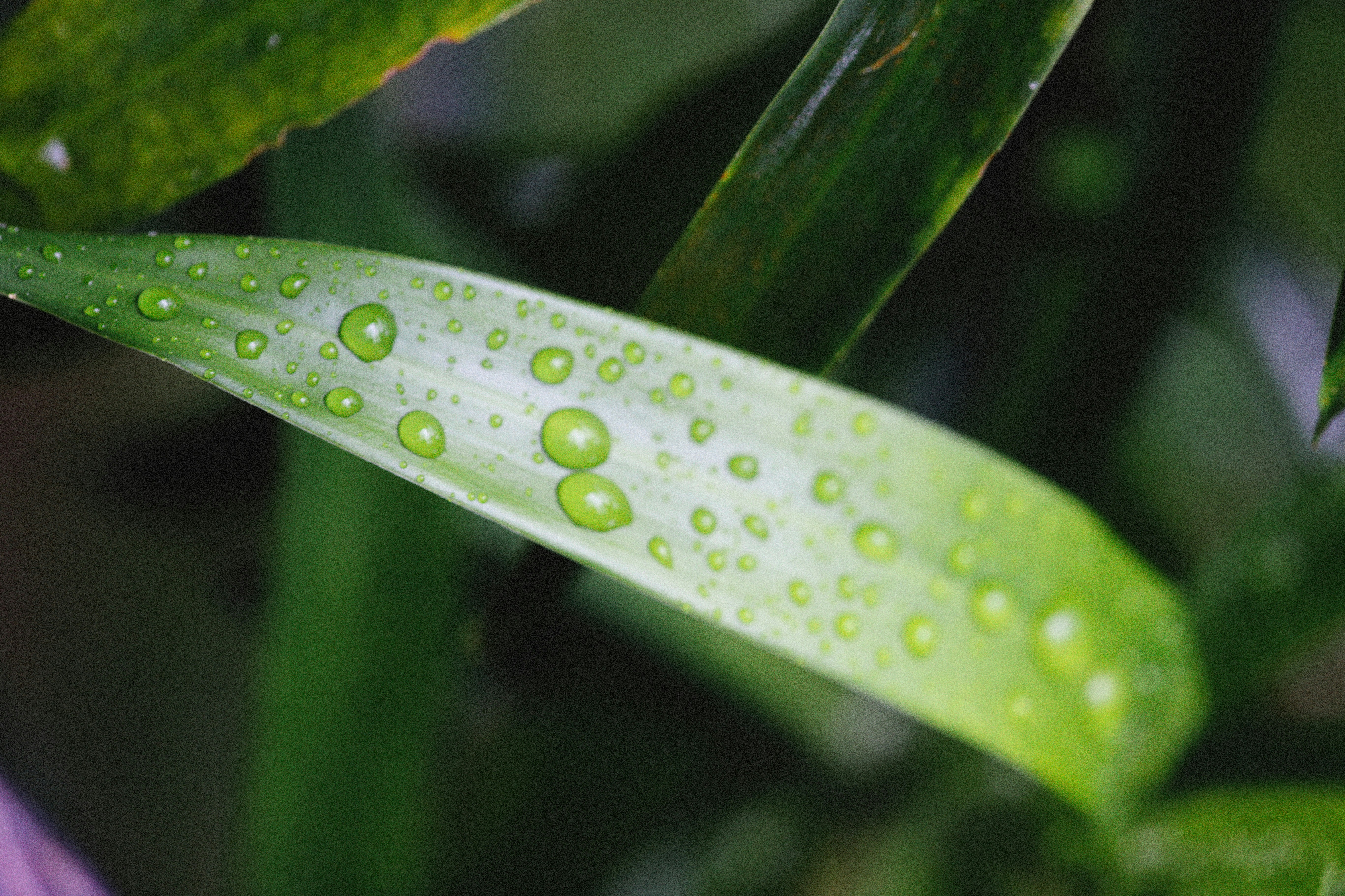 Photo by alexeydemidov