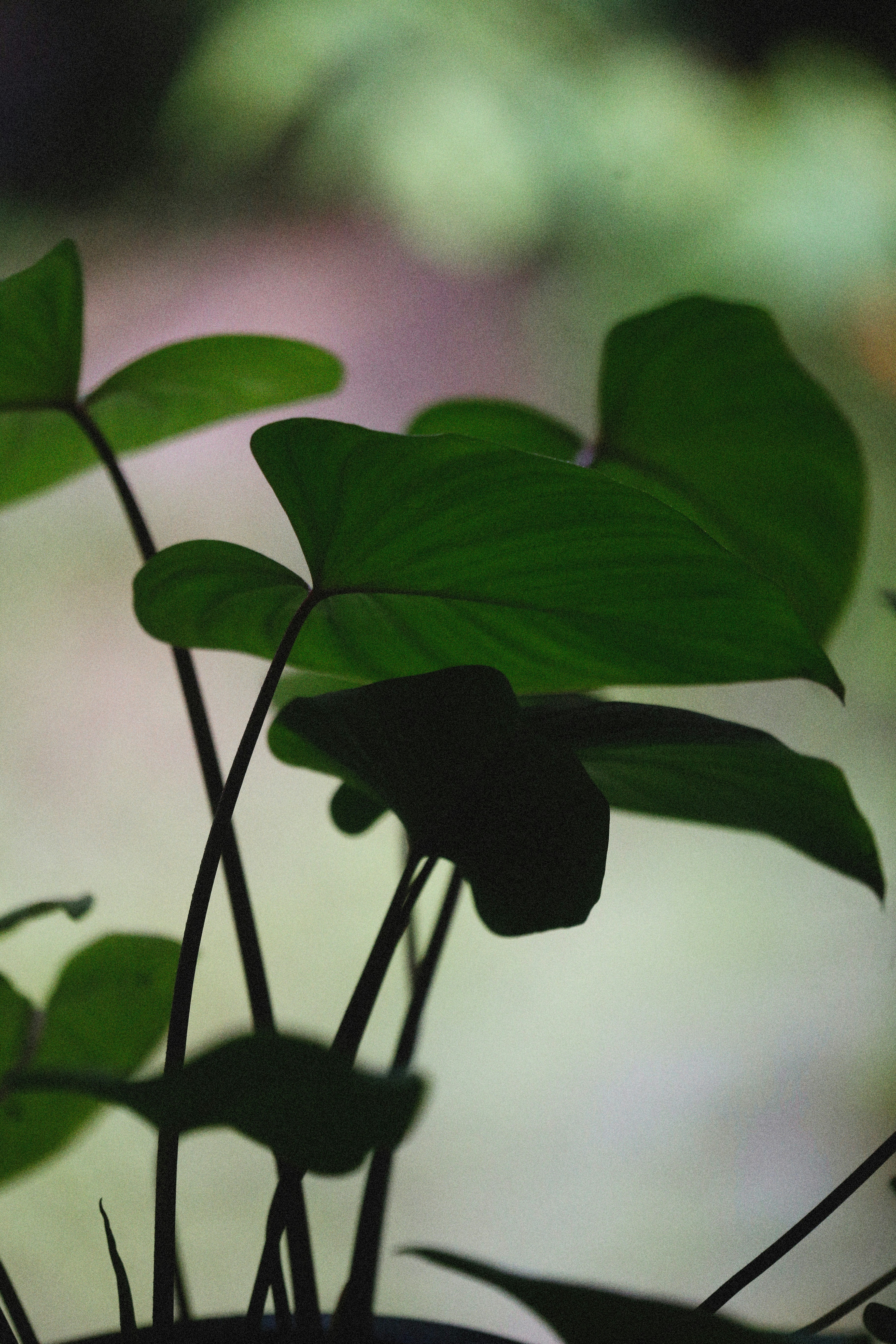 Photo by alexeydemidov