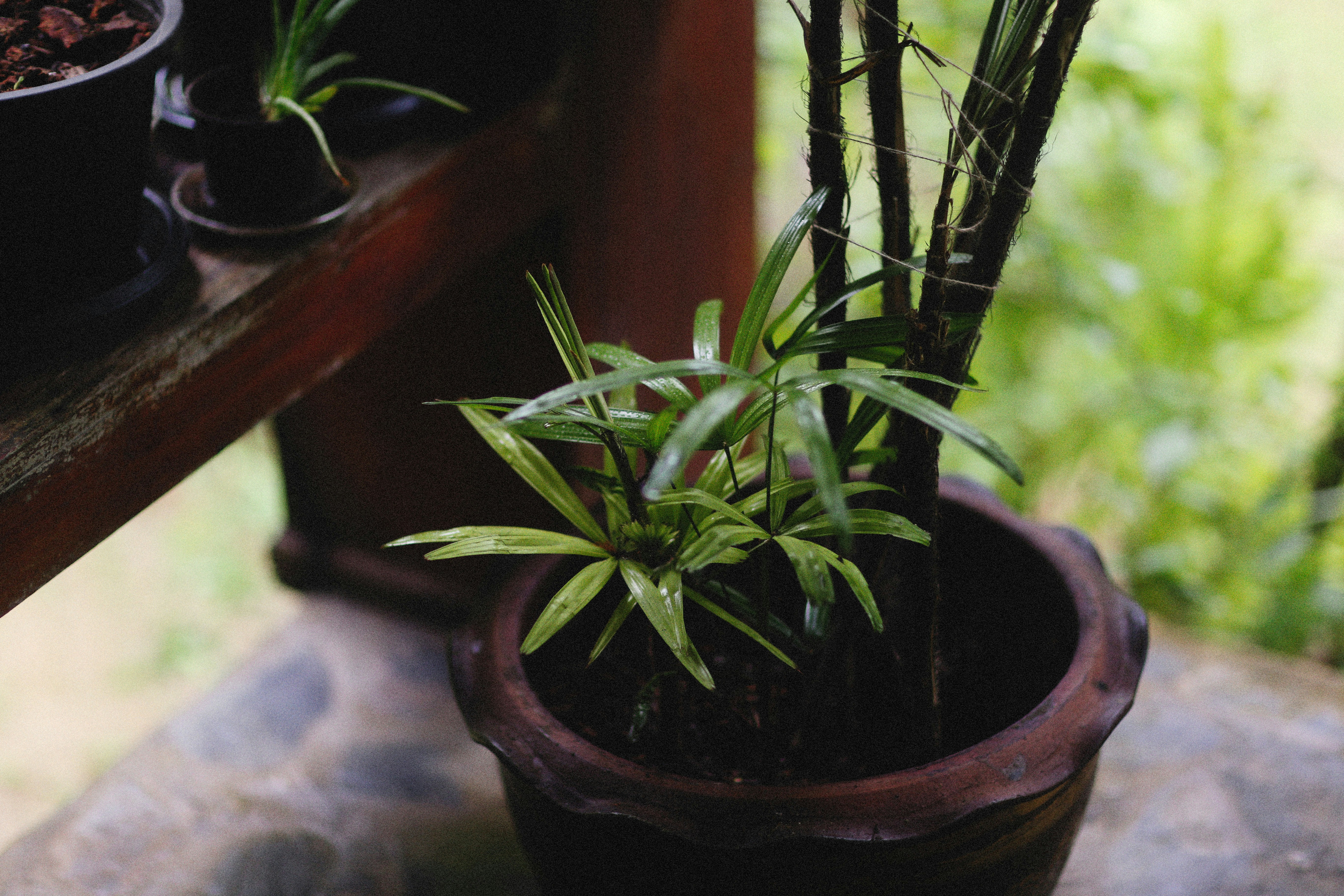 Photo by alexeydemidov