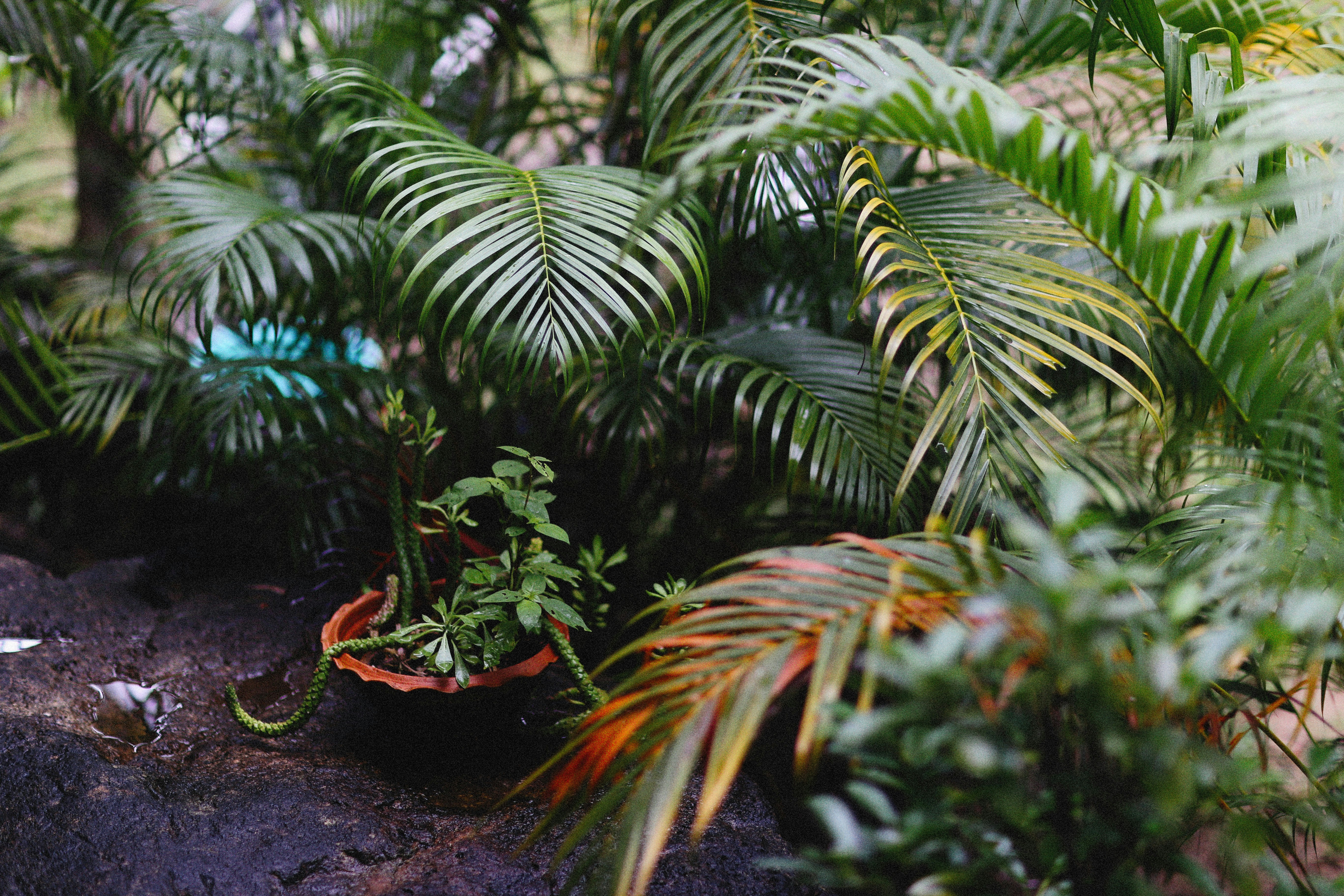 Photo by alexeydemidov