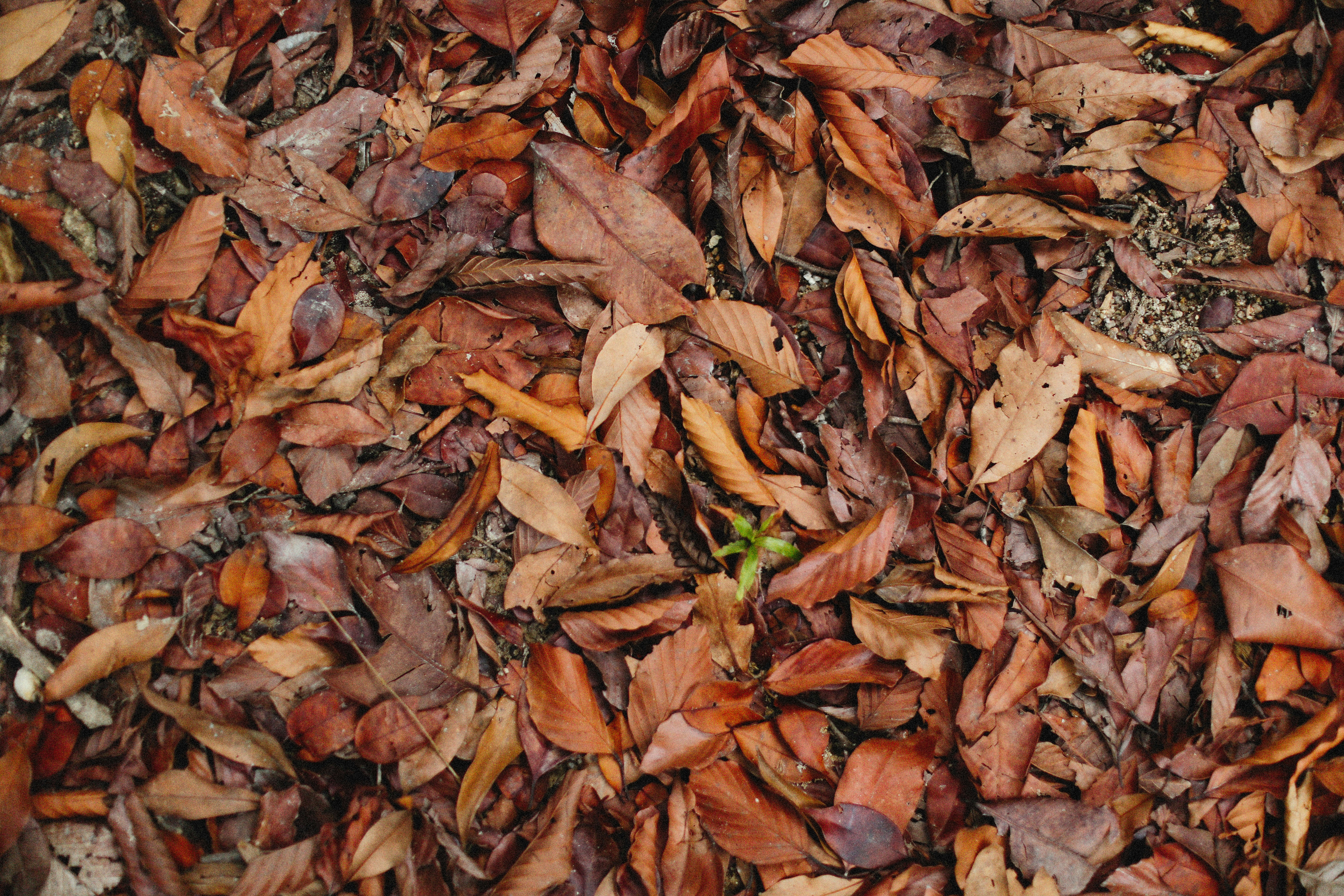 Photo by alexeydemidov