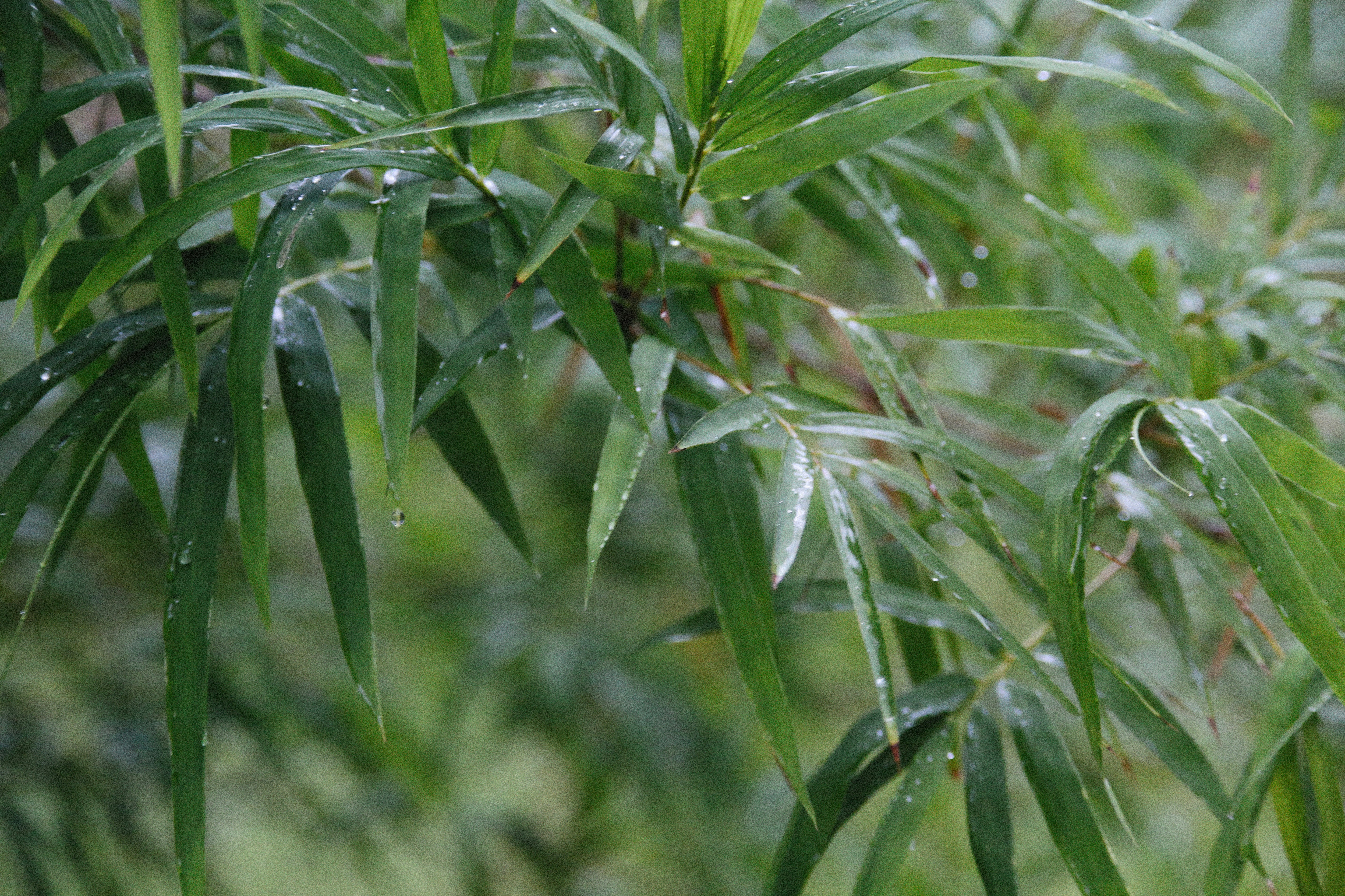 Photo by alexeydemidov