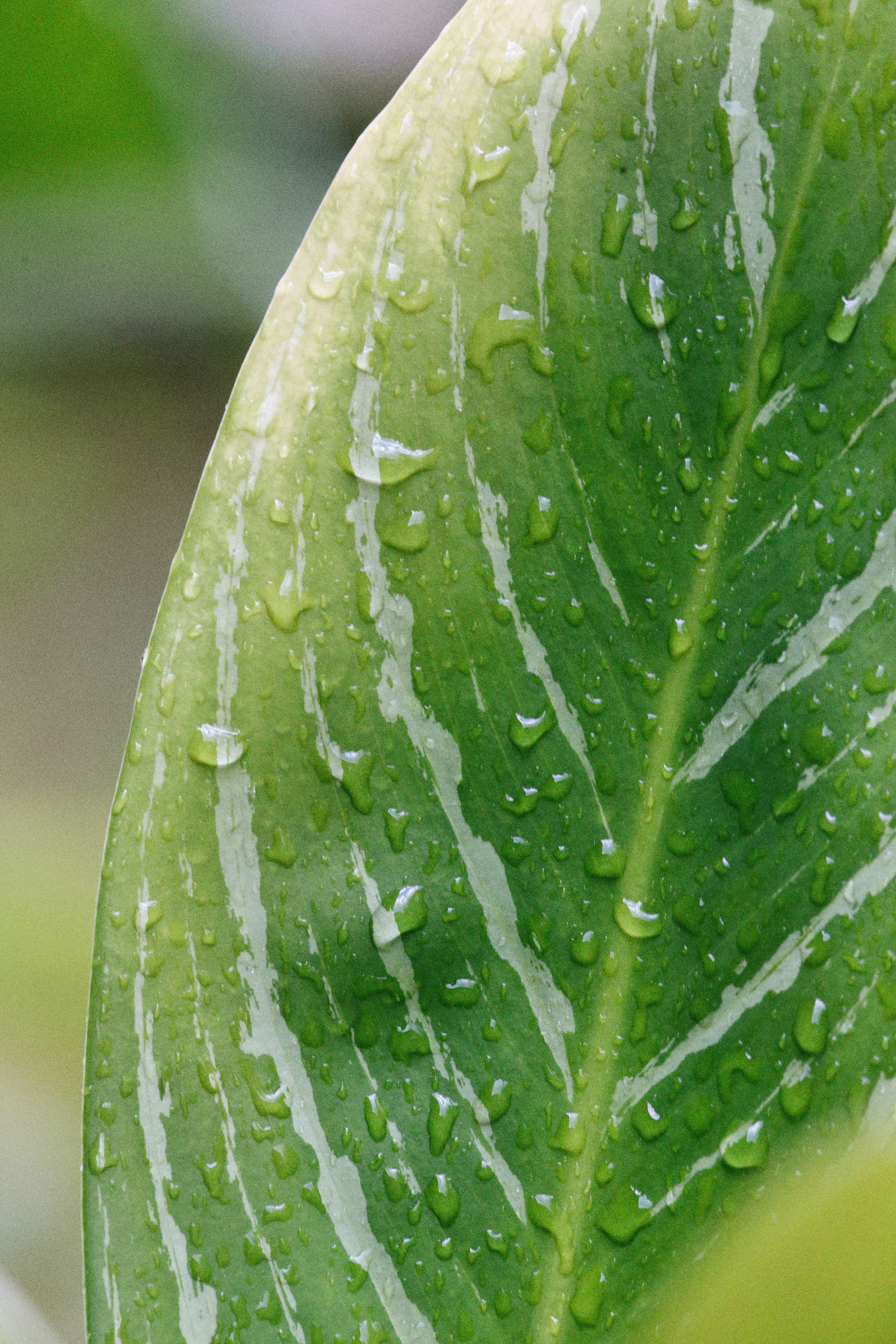 Photo by alexeydemidov