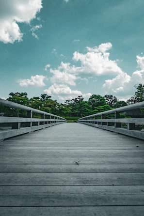 a wooden bridge with trees and blue sky