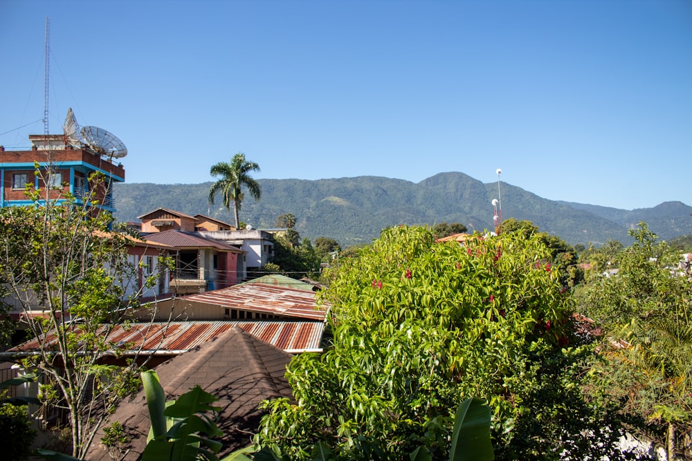 a group of buildings with trees in the front