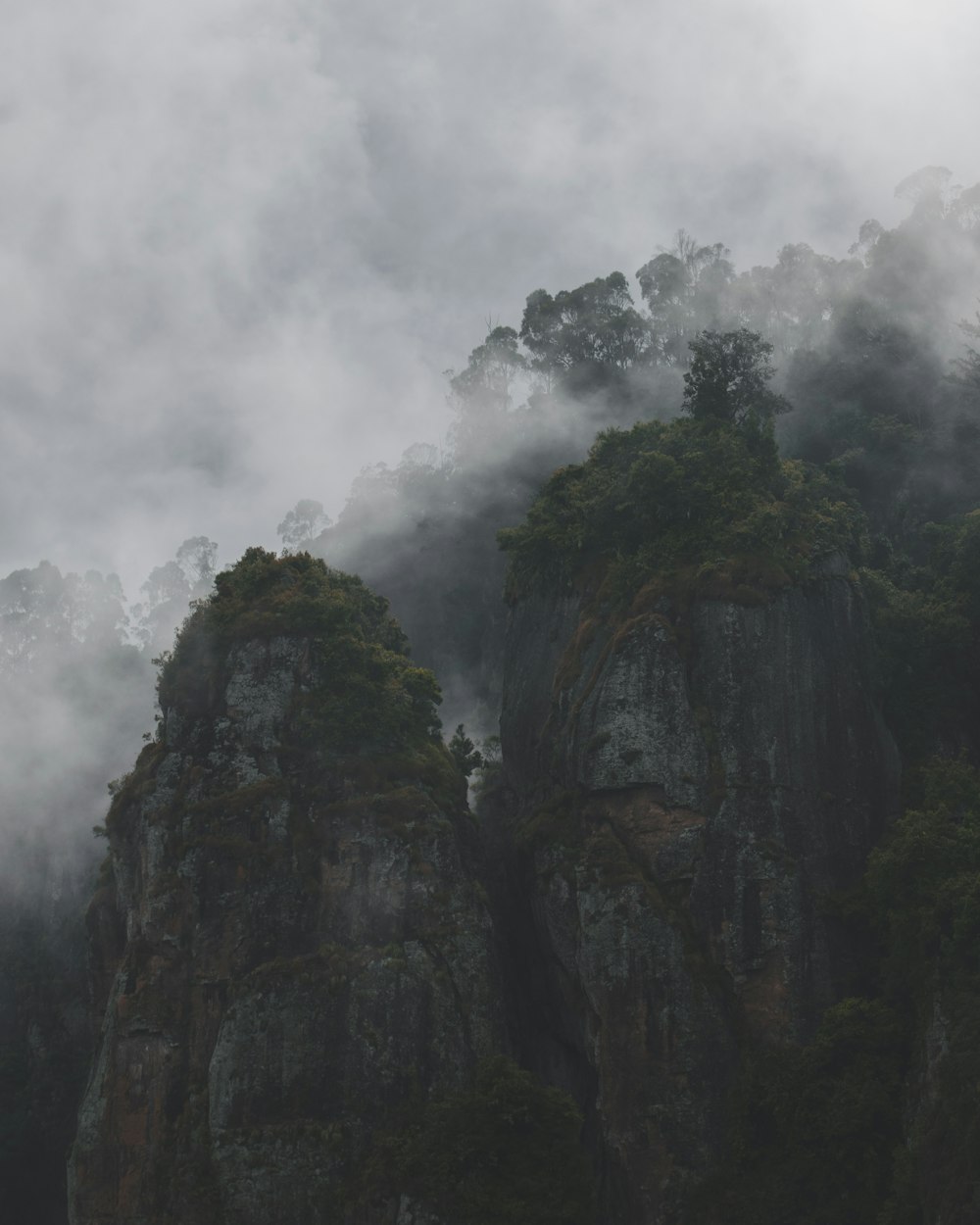 a rocky cliff with trees on it