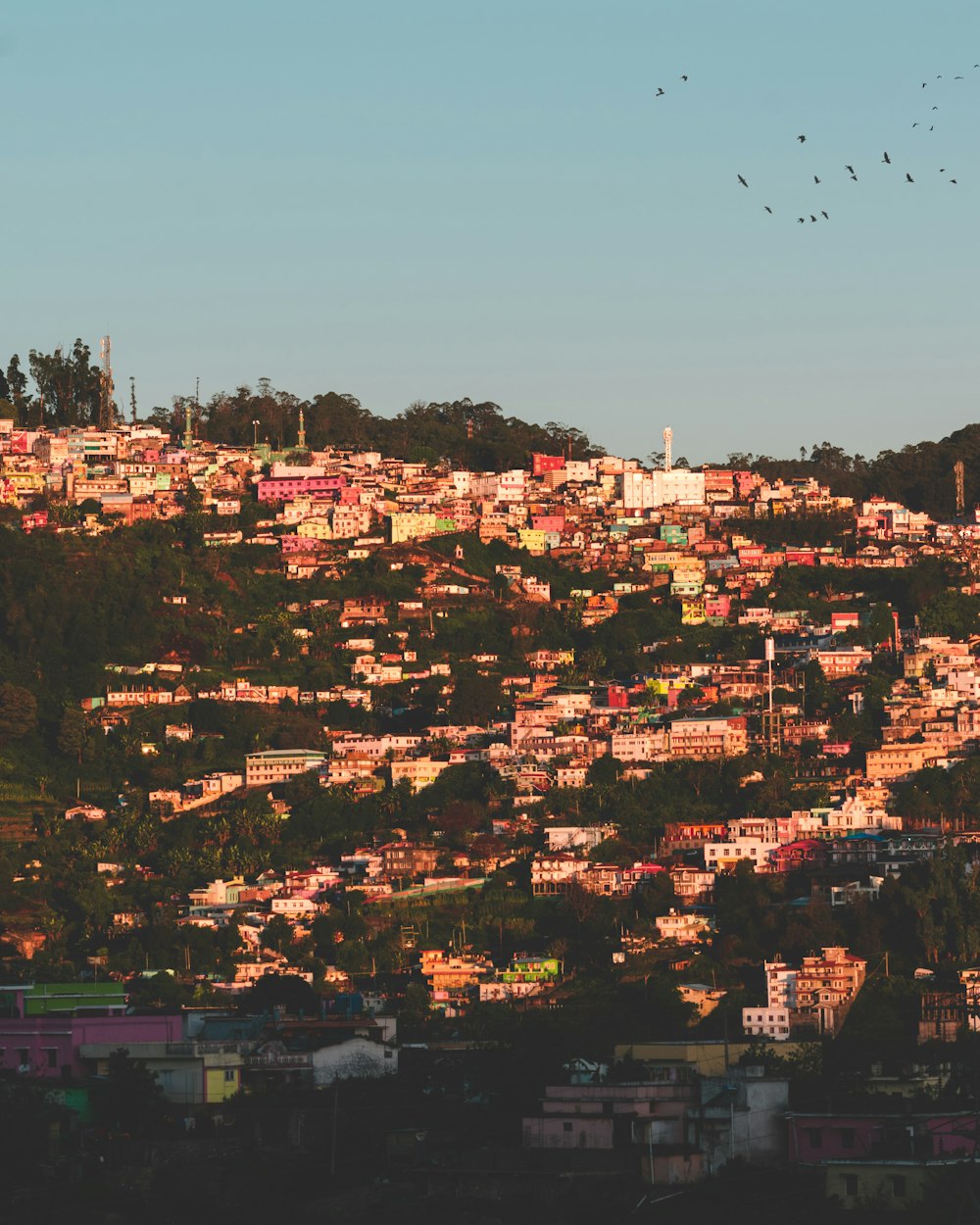 a city with many buildings