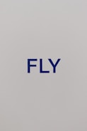 The image consists of a minimalist design with the word 'FLY' printed in bold blue capital letters against a plain light gray background.