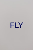 A colorful flyer design that combined stunning visuals with a sharp message.