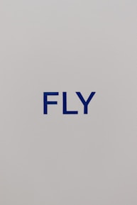 The image consists of a minimalist design with the word 'FLY' printed in bold blue capital letters against a plain light gray background.