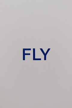 The image consists of a minimalist design with the word 'FLY' printed in bold blue capital letters against a plain light gray background.