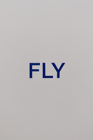 A colorful flyer design that combined stunning visuals with a sharp message.