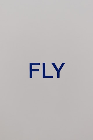 The image consists of a minimalist design with the word 'FLY' printed in bold blue capital letters against a plain light gray background.