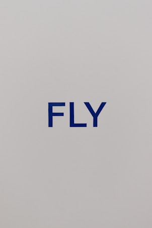 The image consists of a minimalist design with the word 'FLY' printed in bold blue capital letters against a plain light gray background.