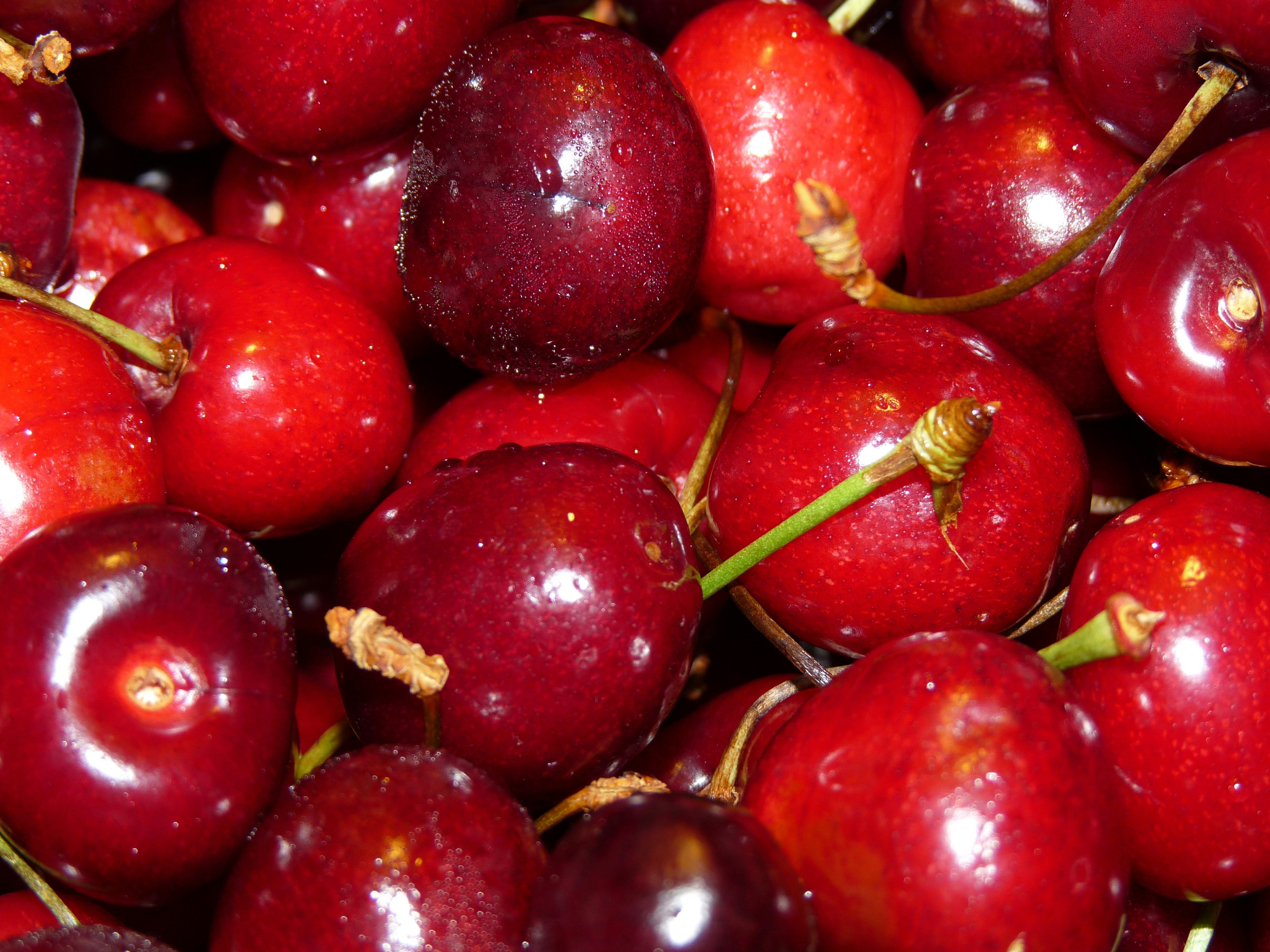 A pile of red cherries photo Free Greece Image on Unsplash