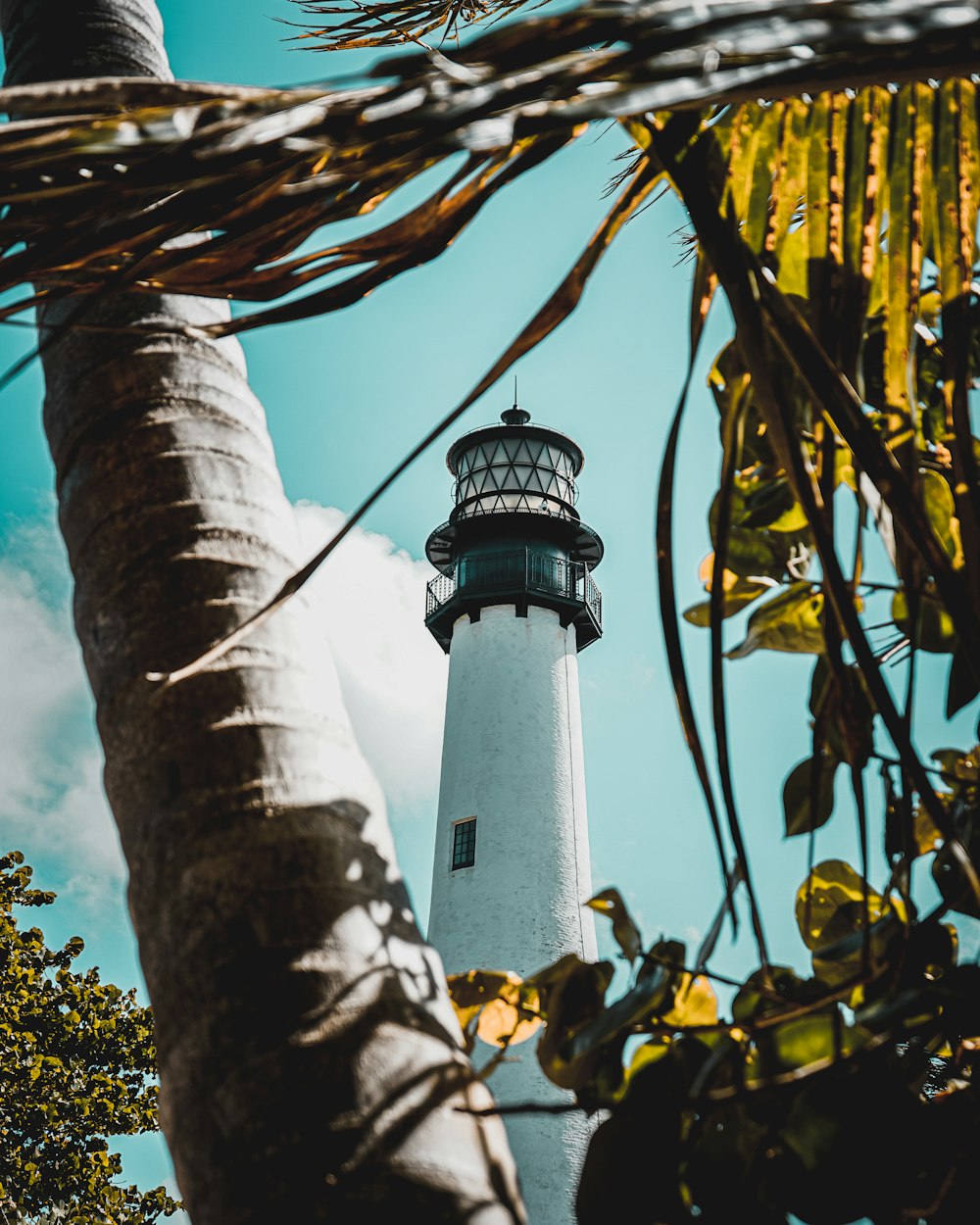 a tall tower with a light on top