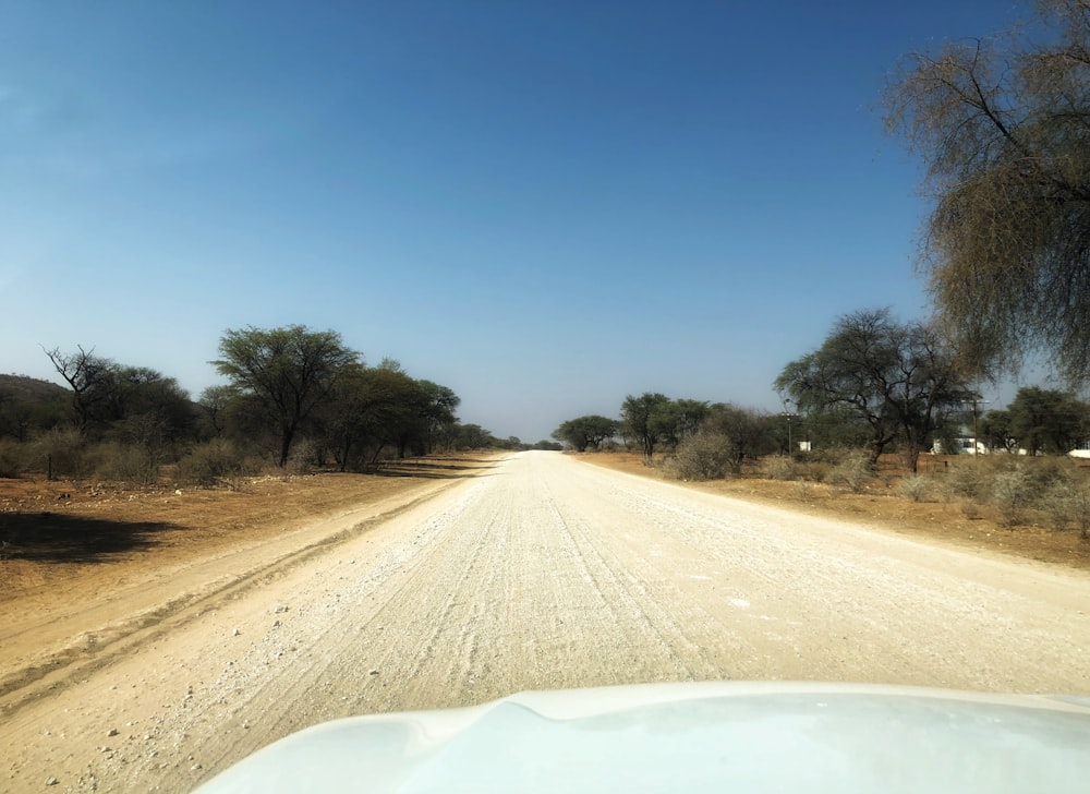 a dirt road with trees on the side