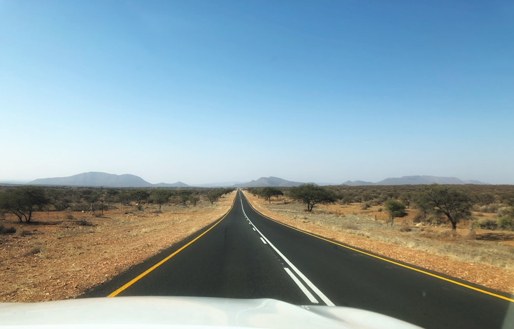 a road with trees on the side