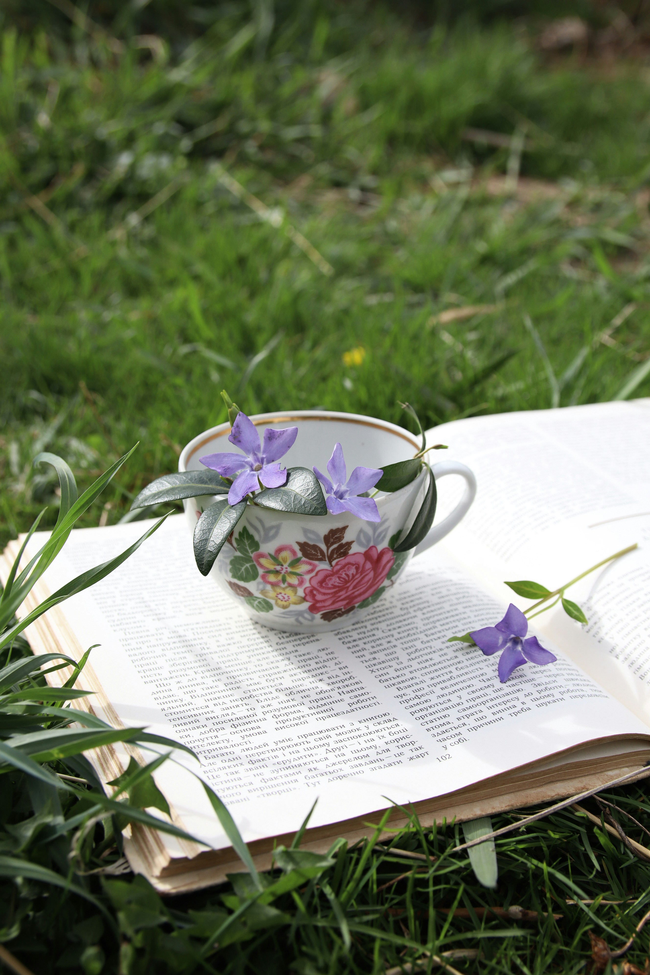 Photo by feeling_hope