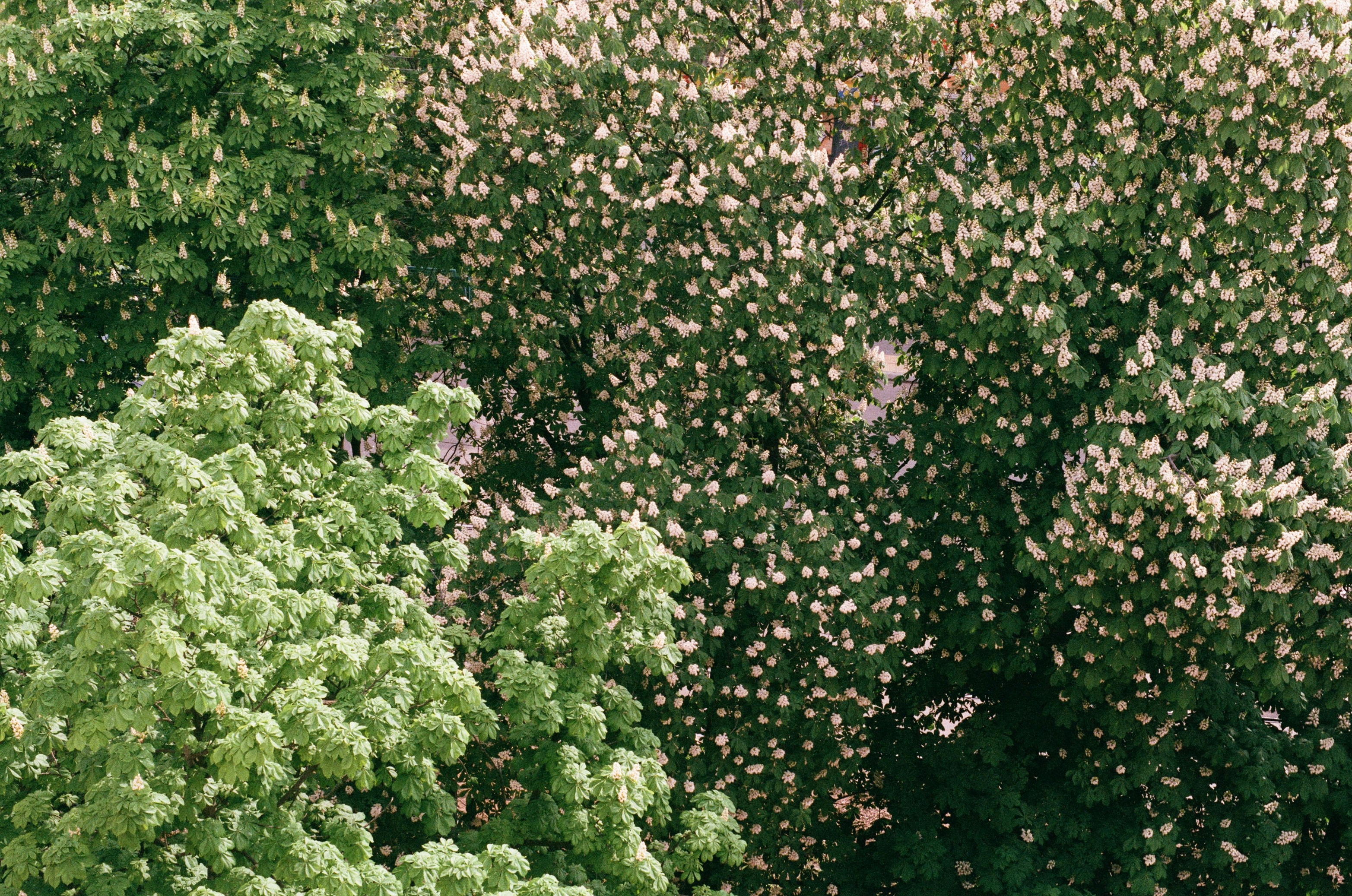 Photo by kateryna_p11111